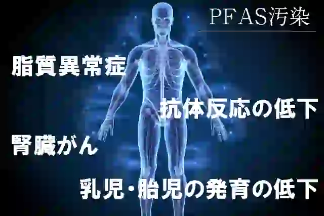 PFASの問題は健康への悪影響